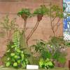 Land/Vegetation/Fruit
